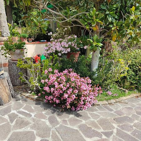 Il Diacciarello Apartment Gabbro Ngoại thất bức ảnh