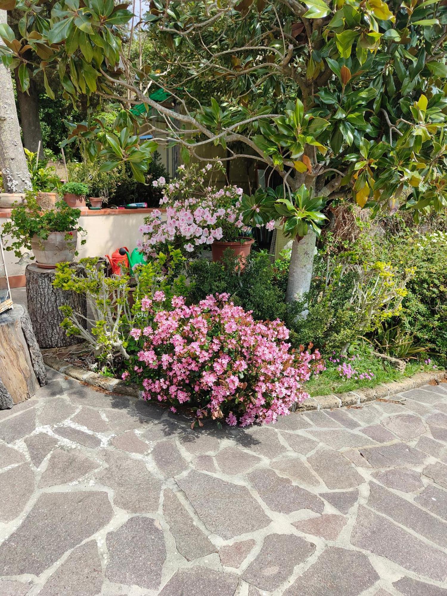 Il Diacciarello Apartment Gabbro Ngoại thất bức ảnh